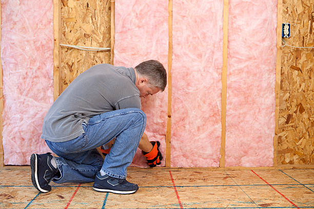 Best Blown-in Insulation in Peachtree Corners, GA