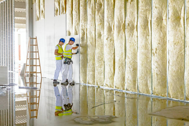 Best Cellulose Insulation in Peachtree Corners, GA